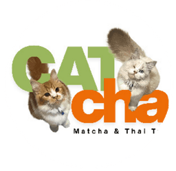 CatCha